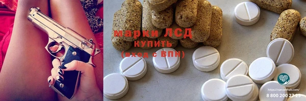 индика Ладушкин
