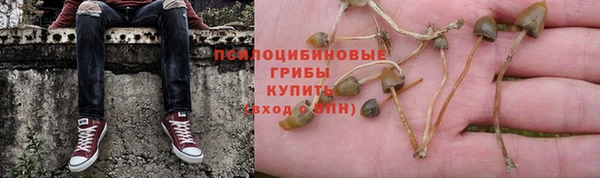 крисы Лабытнанги