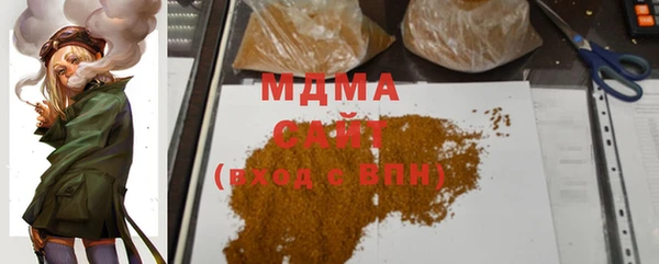 индика Ладушкин