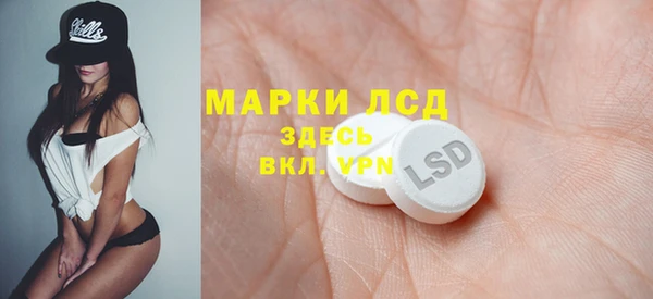 индика Ладушкин