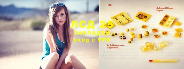 индика Ладушкин