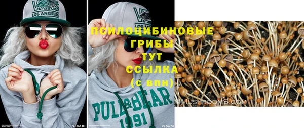 индика Ладушкин