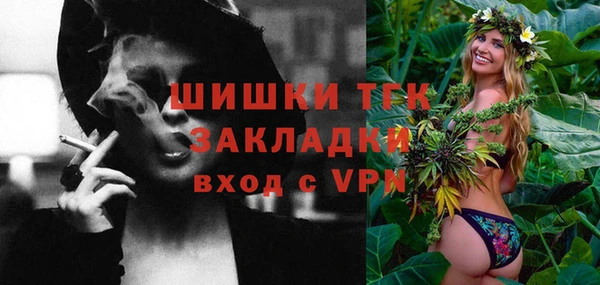 индика Ладушкин