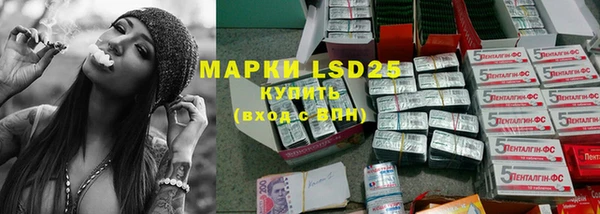 индика Ладушкин