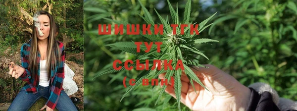 крисы Лабытнанги