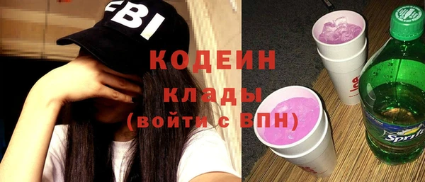 индика Ладушкин