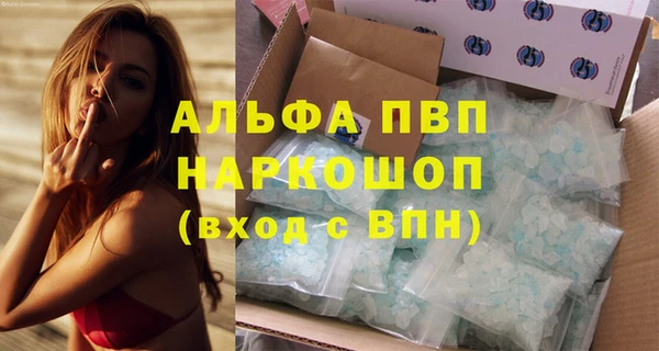 индика Ладушкин