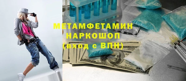 индика Ладушкин